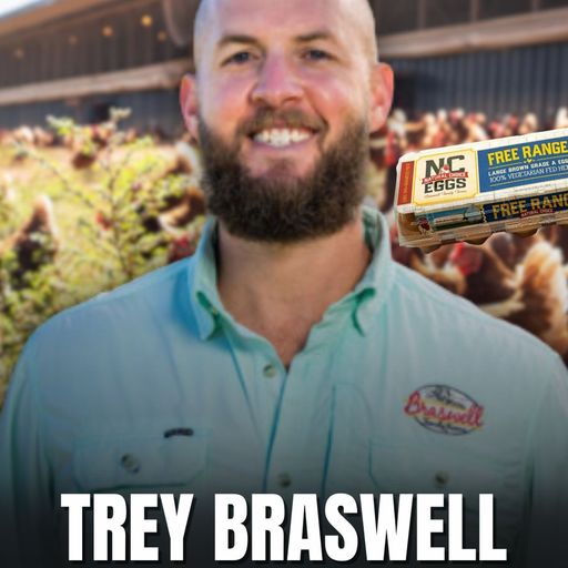 Big-Egg Dreams with Trey Braswell cover art