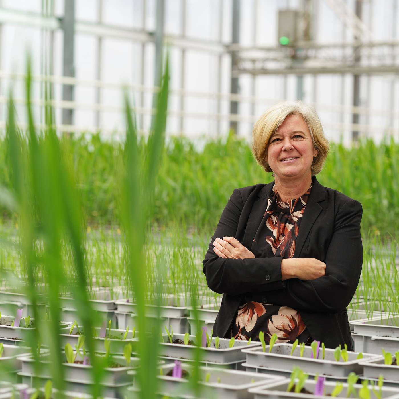 Microbes at Work: Nature-Based Crop Protection in Action cover art