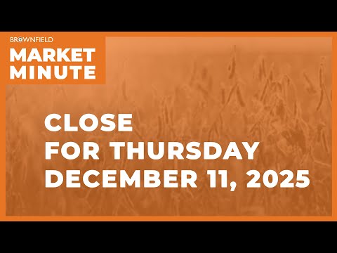 Cattle closed higher Thursday | Closing Market Minute