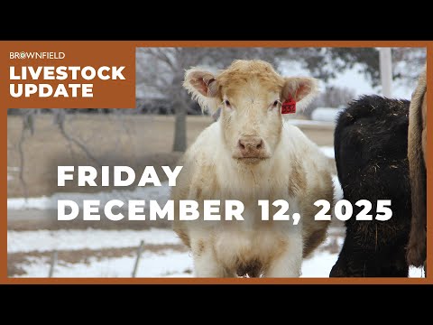Live cattle prices jump more than $8 this week | Weekly Livestock Market Update