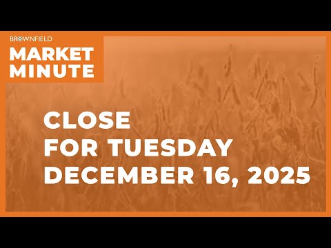 Cattle futures were higher Tuesday | Closing Market Minute