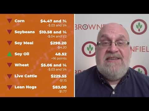 Cattle closed lower Wednesday | Closing Market Minute cover art