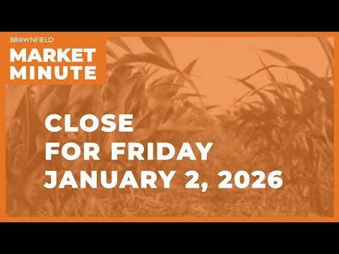 Cattle finish sharply higher | Closing Market Minute cover art
