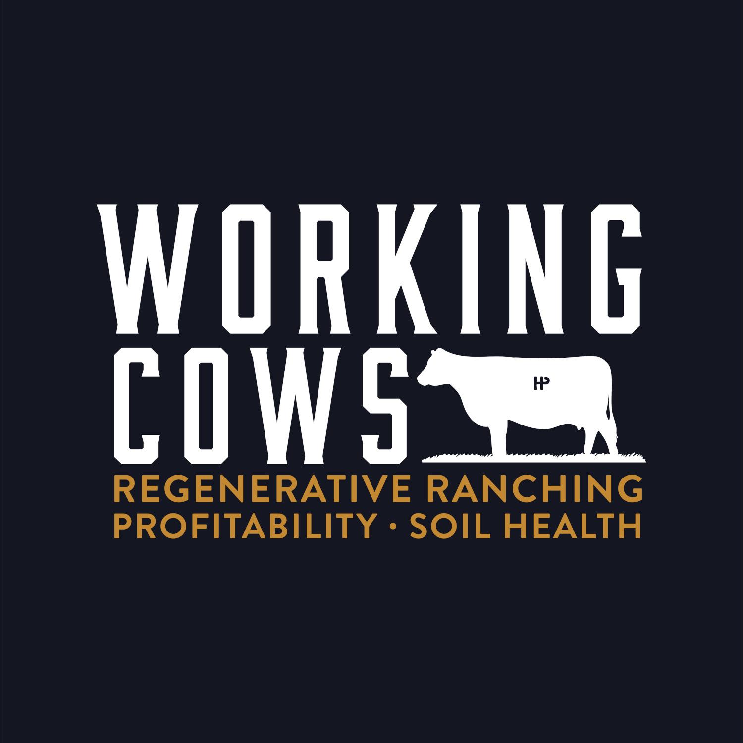 Working Cows