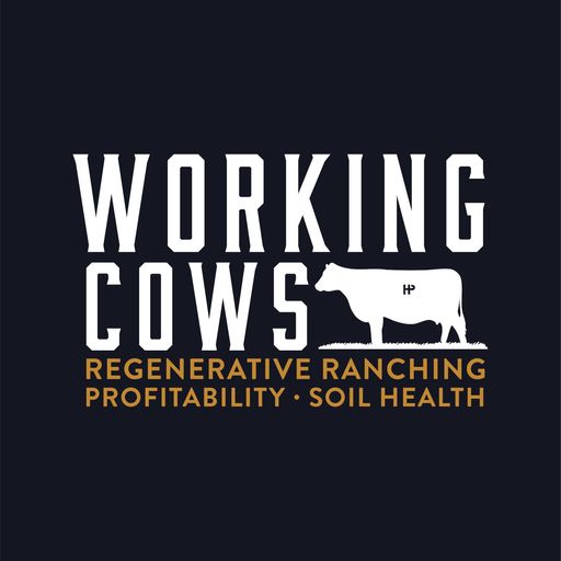 Working Cows cover art