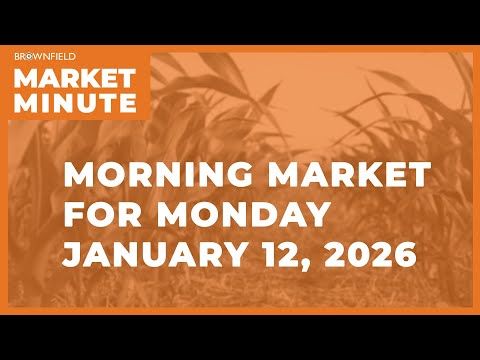 Corn was higher overnight | Morning Market Minute cover art