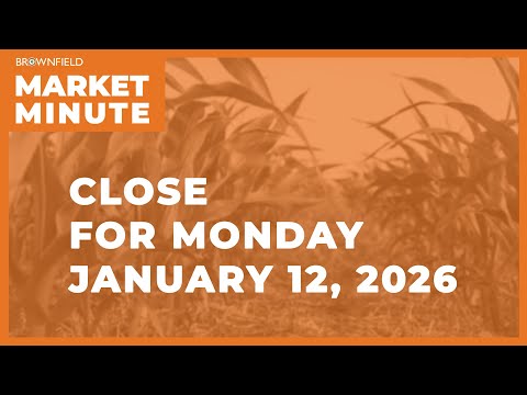 Cattle closed higher Monday | Closing Market Minute