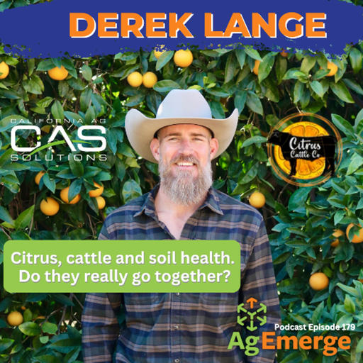 AgEmerge Podcast Episode 179 | Derek Lange's Take on California's Central Valley Agriculture cover art