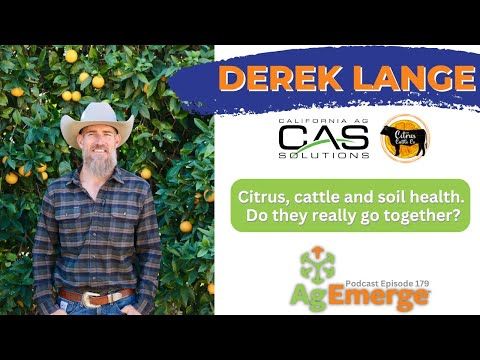 Derek Lange & CA Central Valley Agriculture | AgEmerge Podcast Episode 179 #cattle #citrus #soil cover art