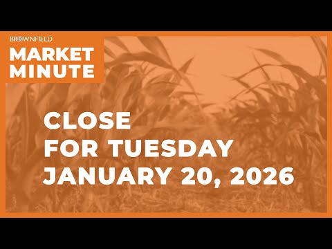 Cattle futures were higher Tuesday | Closing Market Minute