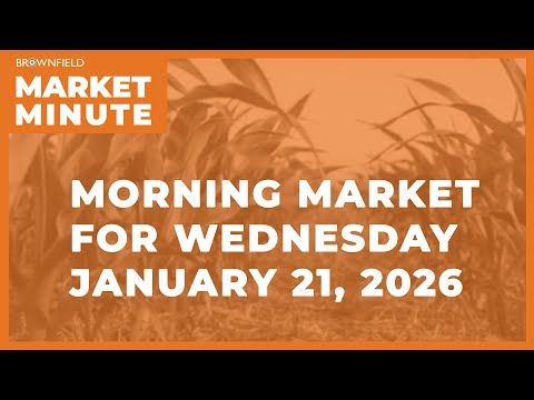 Soybeans were higher overnight | Morning Market Minute cover art