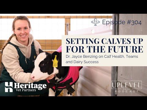 304 | Setting Calves Up Right: Dr. Jacey Benzing on Calf Health, Teams and Dairy Success cover art