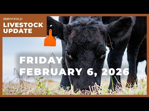 Feeder cattle futures up more than $7 this week | Weekly Livestock Market Update cover art