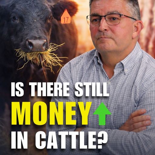 Most Feeders Don’t Have a Roadmap — Time to Fix That cover art