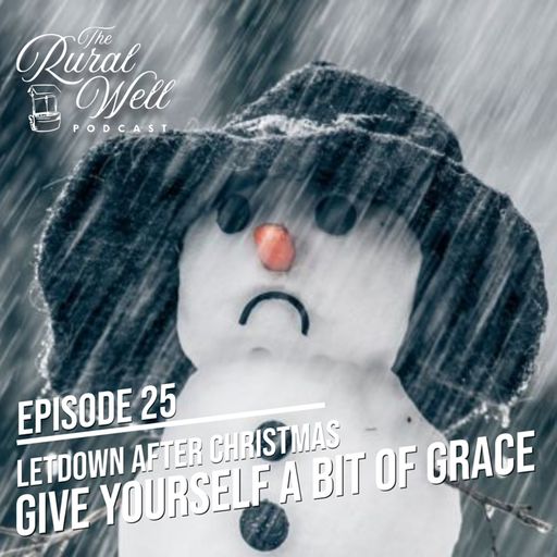 Episode 25 - Letdown After Christmas - Give Yourself a Bit of Grace cover art