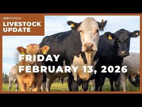 Live cattle futures up more than $5 | Weekly Livestock Market Update cover art