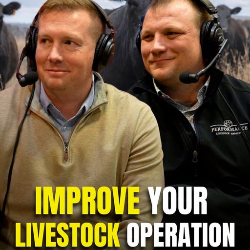 Be Consistently More Profitable - No Guessing w/ the Founders of PLA cover art