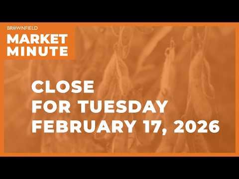 Cattle futures were higher Tuesday | Closing Market Minute cover art