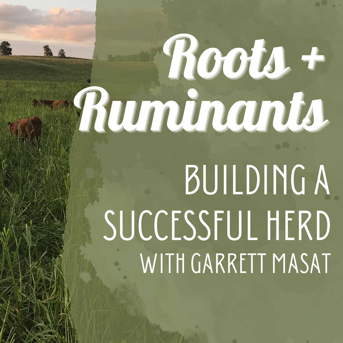Building a Successful Herd with Garrett Masat cover art