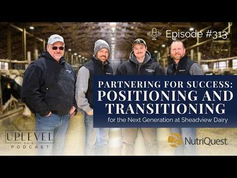 313 | Partnering for Success: Positioning & Transitioning for the Next Generation at Sheadview Dairy cover art