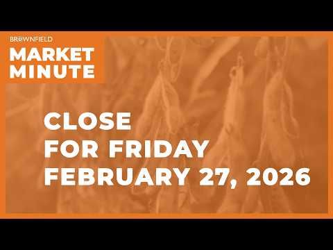 Cattle were down sharply Friday | Closing Market Minute cover art