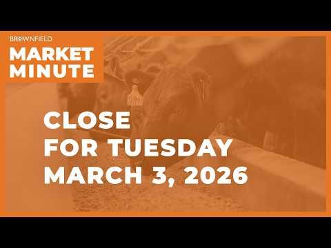 Cattle were mixed Tuesday | Closing Market Minute cover art
