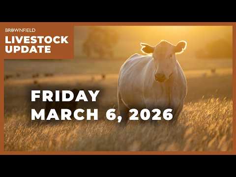 Live cattle futures up more than $2 for the week | Weekly Livestock Market Update