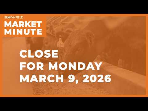 Cattle futures were lower Monday | Closing Market Minute