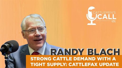 Strong Cattle Demand w/ a Tight Supply: CattleFax Update w/ Randy Blach cover art