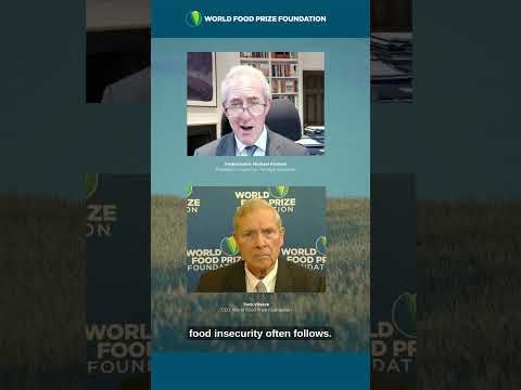 If we don't feed people, we feed conflict in a negative feedback loop #foodsecurity #geopolitics cover art