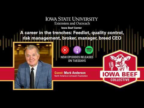 A Career in the Trenches: feedlot, quality control, risk management, broker, manager, breed CEO cover art