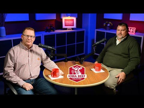 Navigating the Beef Golden Years, One News Cycle at a Time cover art