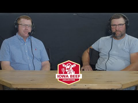 Feedlot Management: Some Things Never Change