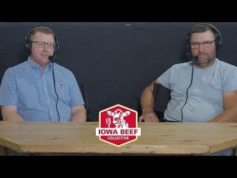 Feedlot Management: Some Things Never Change cover art