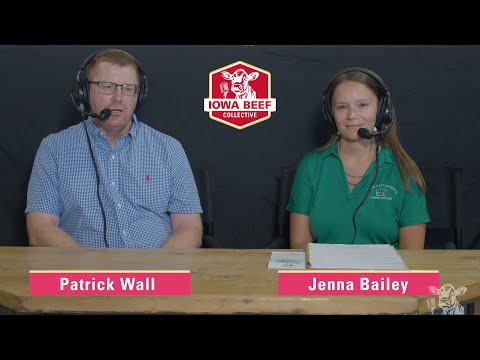 The Governor's Charity Steer Show: You Should Be a Part of It!