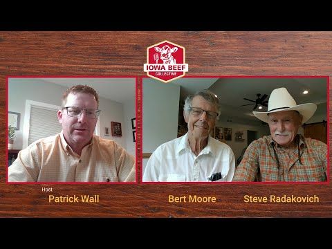 Livestock Judging: The 1965 Team cover art