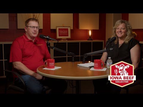 Rooted in Applied Research, Practiced in Industry, Returning to Education cover art