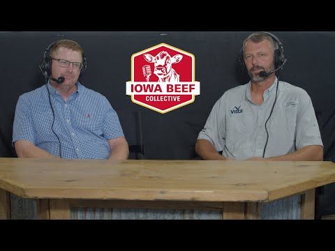 Merck: Solving Labor Shortage with E-Tags, Virtual Fence & Animal Health cover art