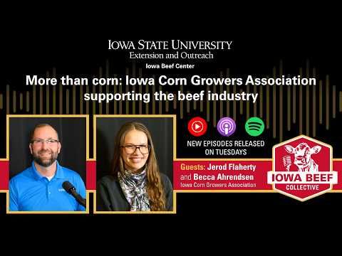 Iowa Beef Collective cover art