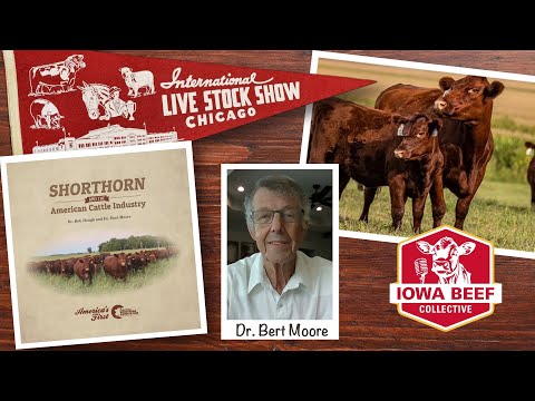 The Chicago International, Shorthorns for Life, and 40 years of Ranch Kids
