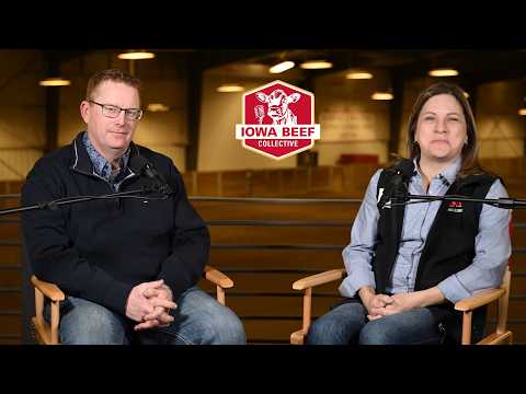 Genetic Defects: A Bull Good Enough to Use Twice