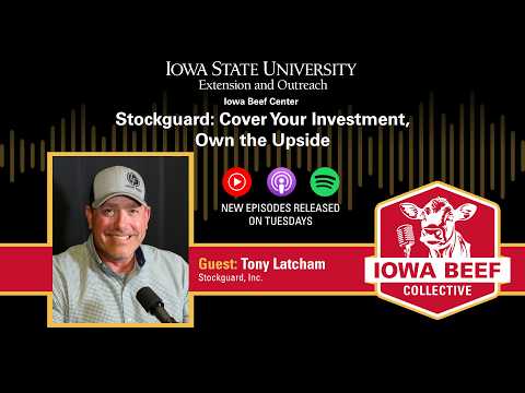 Stockguard: Cover Your Investment, Own the Upside