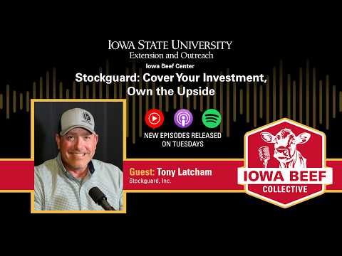 Stockguard: Cover Your Investment, Own the Upside cover art