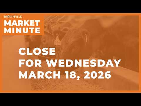 Wheat was higher Wednesday | Closing Market Minute