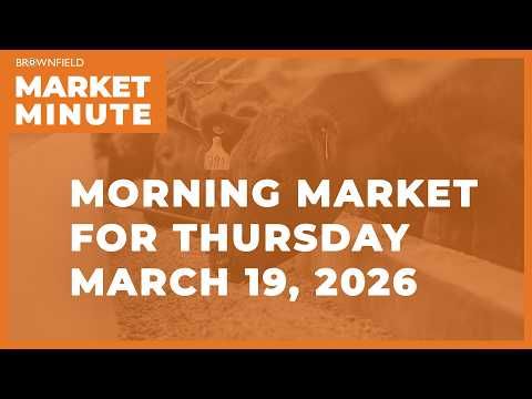 Corn was up overnight | Morning Market Minute cover art