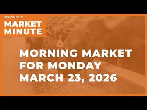 Soybeans were up overnight | Morning Market Minute cover art