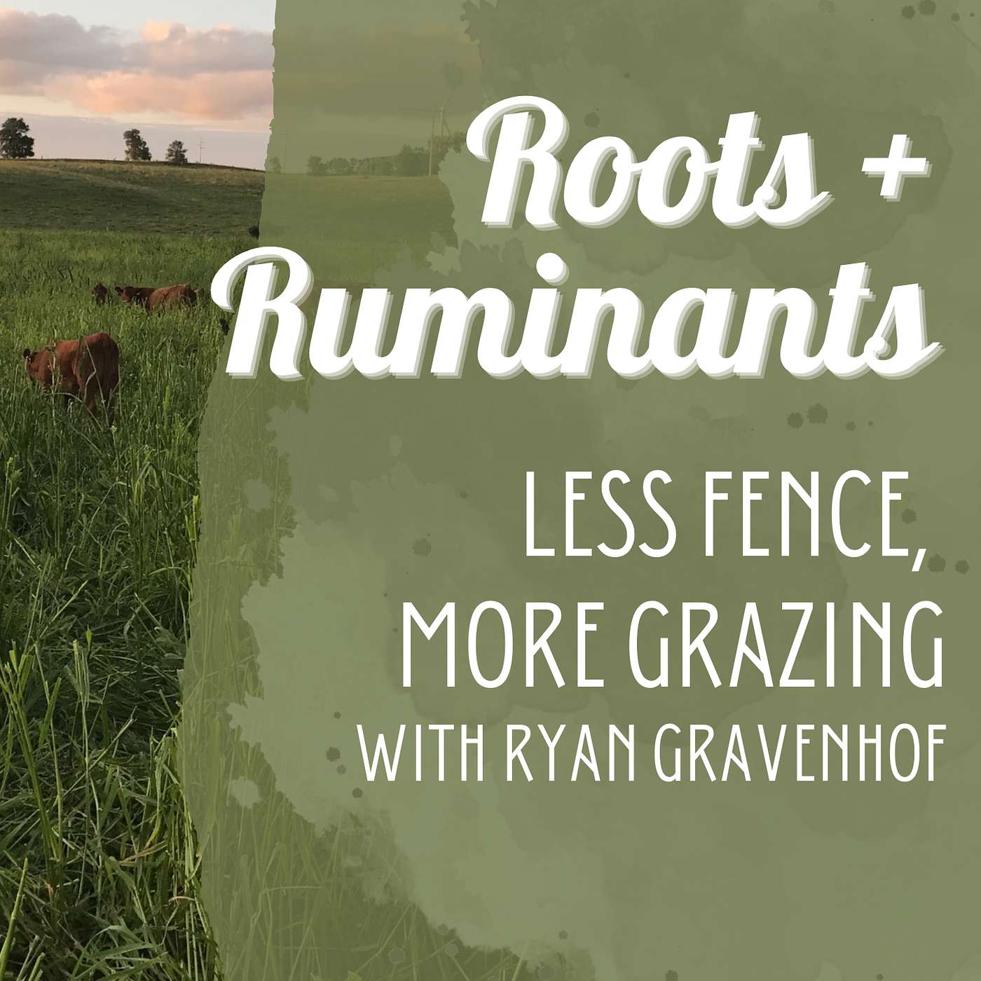 Less Fence, More Grazing with Ryan Gravenhof cover art