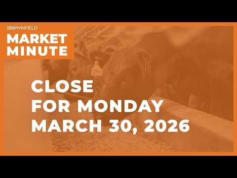 Cattle were higher Monday | Closing Market Minute cover art
