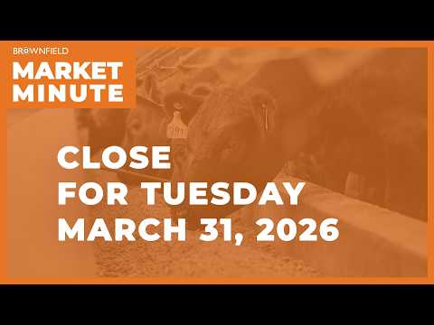 Soybeans were higher Tuesday | Closing Market Minute