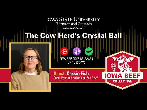 Cassie Fish: The Cow Herd's Crystal Ball